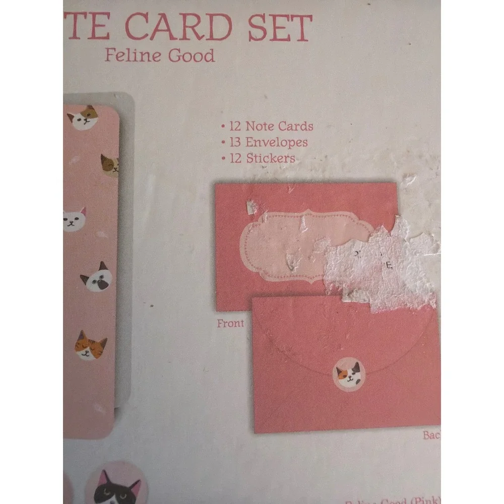 OCS Designs Note Card Set Pink Feline Good Daisies 2pk Stationery Boxed Stickers